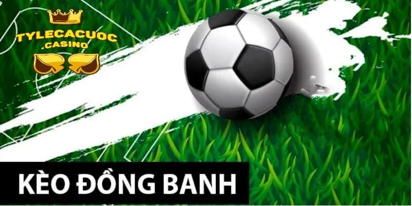 Kinh nghiệm soi kèo đồng banh là gì đỉnh cao nhất