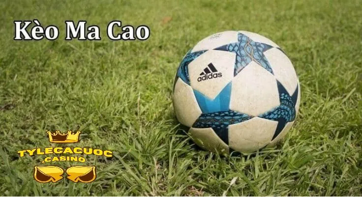 Chiến lược đặt cược hiệu quả tăng tỷ lệ kèo Ma Cao